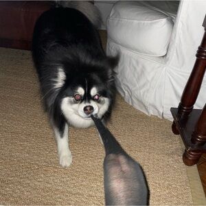 UNLISTED SHOW ITEM 35